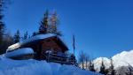 20260225_094659.jpg