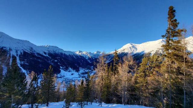 20260225_172430.jpg