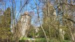 die ehemalige Wasserburg, erbaut im Jahr 1251 und mehrfach erweitert, entwickelte sich zum Schloss Gottlieben