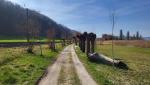 Mannenbach-Salenstein liegt nun hinter uns und wir wandern Richtung Berlingen