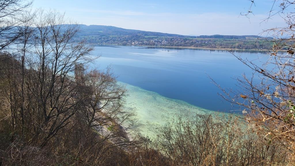 wir blicken zum Seeufer vom Untersee bei Schweizerland