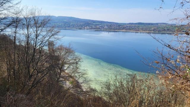 wir blicken zum Seeufer vom Untersee bei Schweizerland