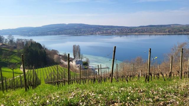 ...und Richtung Untersee