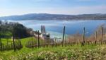...und Richtung Untersee