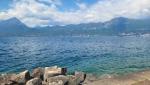 20260421_130420.jpg