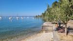 20260423_093142.jpg