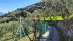 20260424_094831.jpg