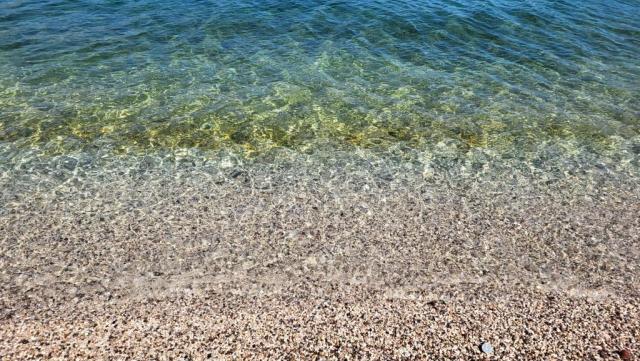 20260424_115723.jpg