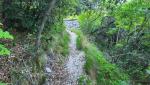 20260425_082106.jpg
