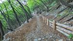 20260425_091218.jpg