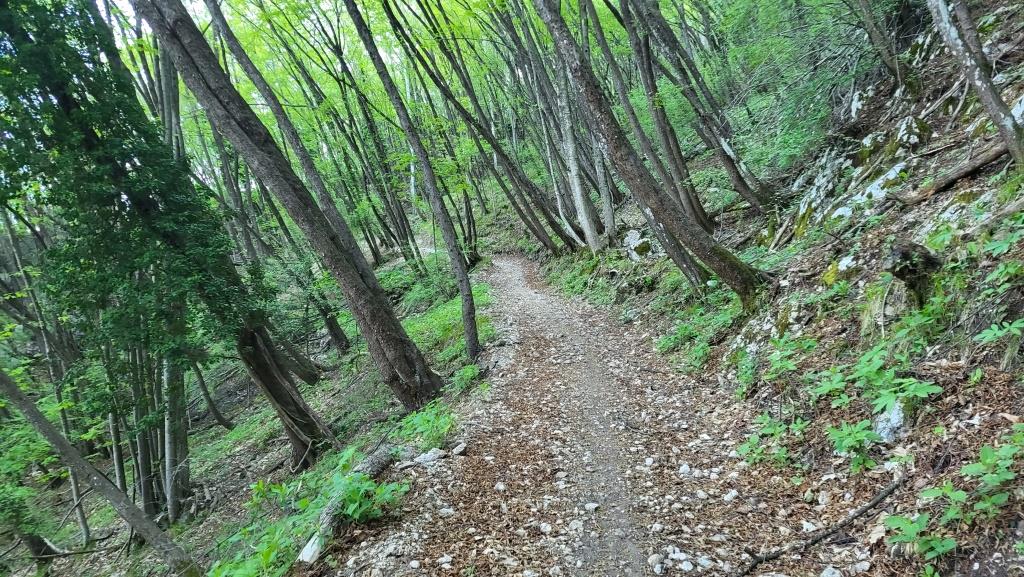 20260425_093618.jpg