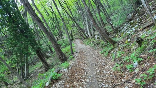 20260425_093618.jpg