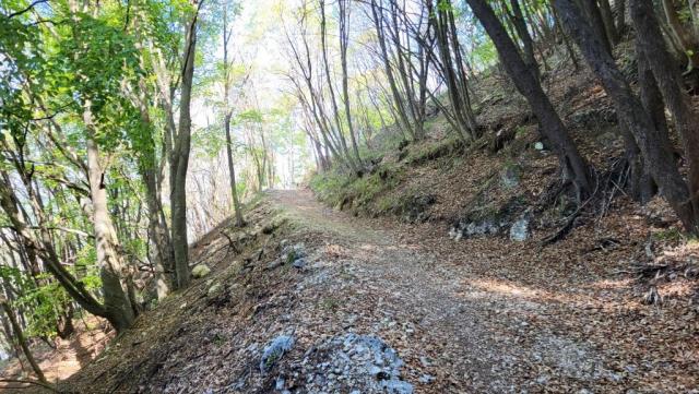 20260425_103645.jpg