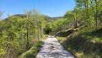 20260425_112223.jpg