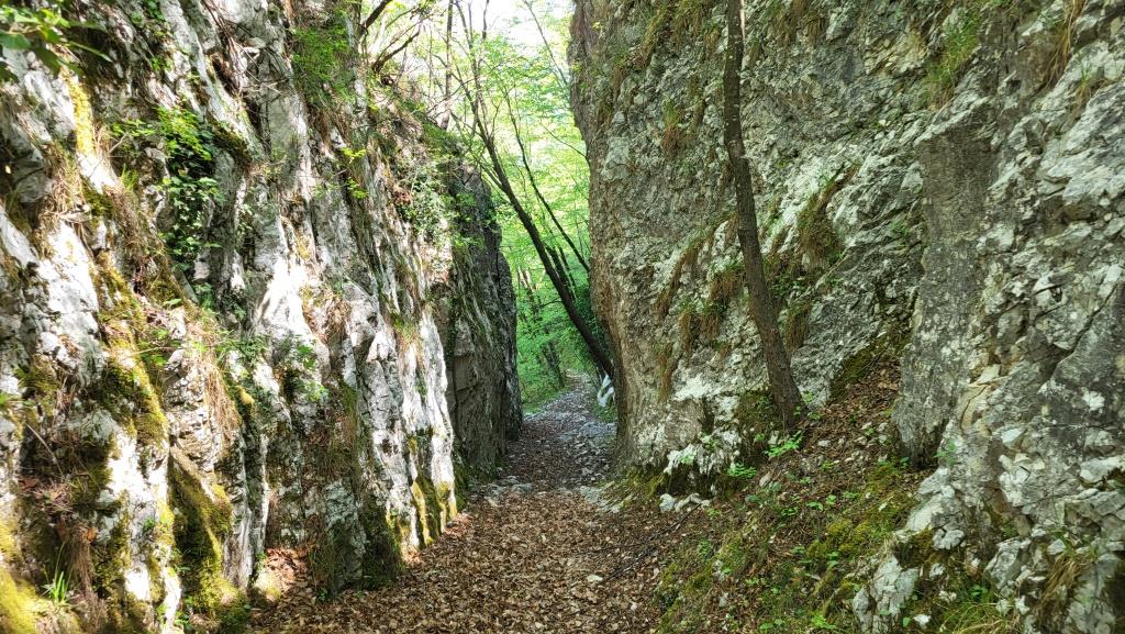 20260425_115733.jpg