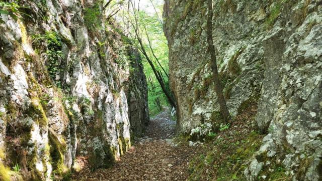 20260425_115733.jpg