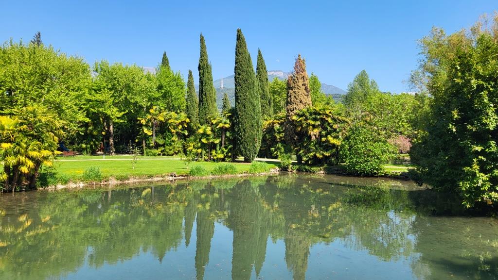 20260425_150420.jpg