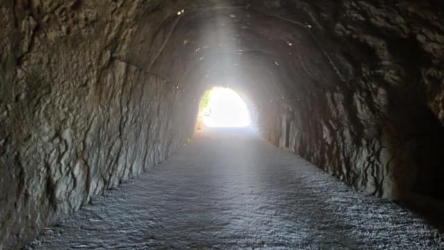 20260426_080713.jpg