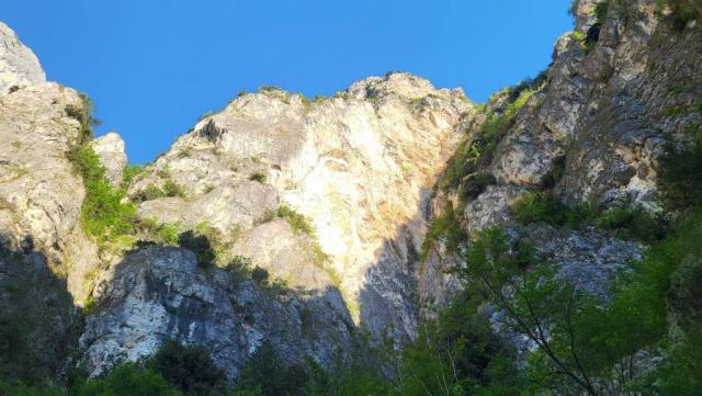 20260426_081144.jpg