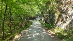 20260426_094126.jpg