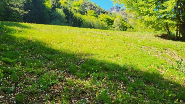 20260426_103029.jpg
