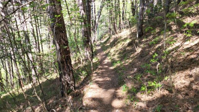 20260426_121129.jpg