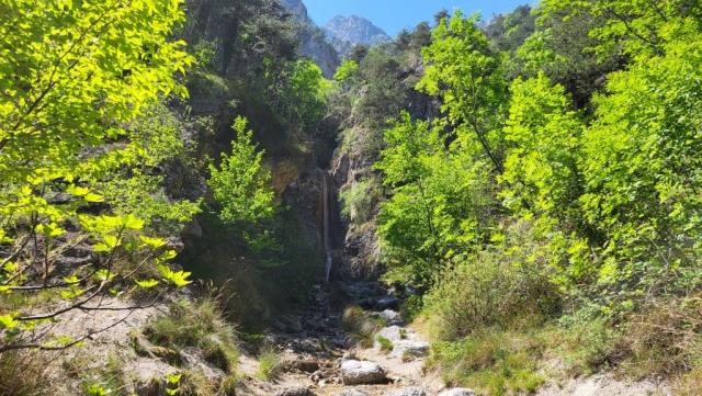 20260426_131547.jpg