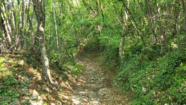 20260427_101956.jpg