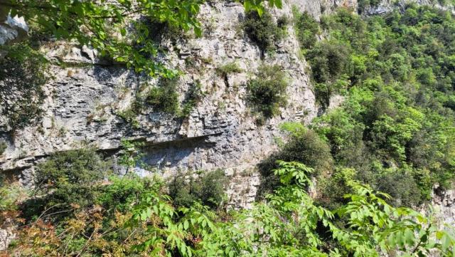 20260427_123107.jpg