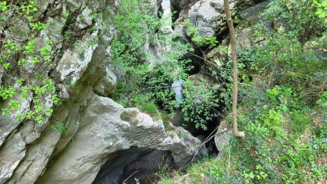 20260427_123356.jpg