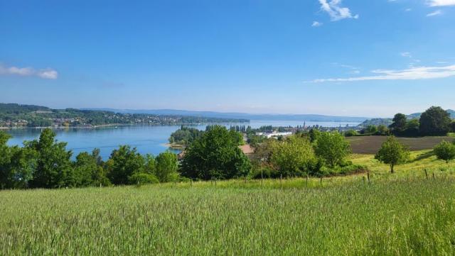 dadurch öffnet sich immer wieder eine traumhaft schöne Aussicht auf den Untersee