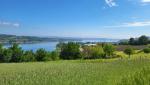 dadurch öffnet sich immer wieder eine traumhaft schöne Aussicht auf den Untersee