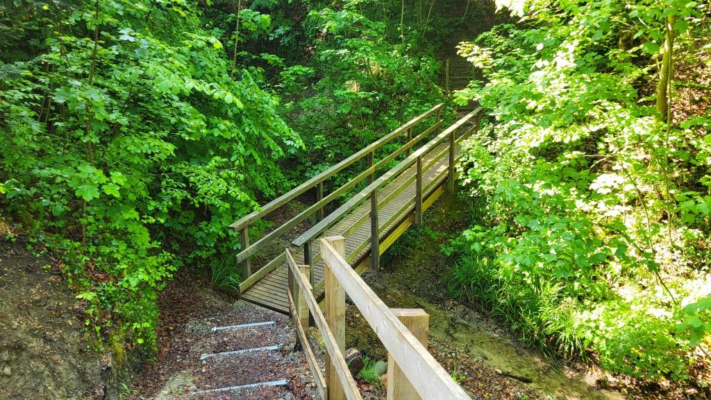 über eine Holzbrücke überqueren wir den Chesselbach