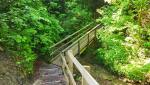über eine Holzbrücke überqueren wir den Chesselbach