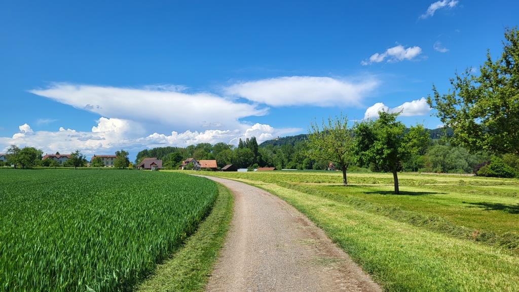 auf dem Weg Richtung Eschenz