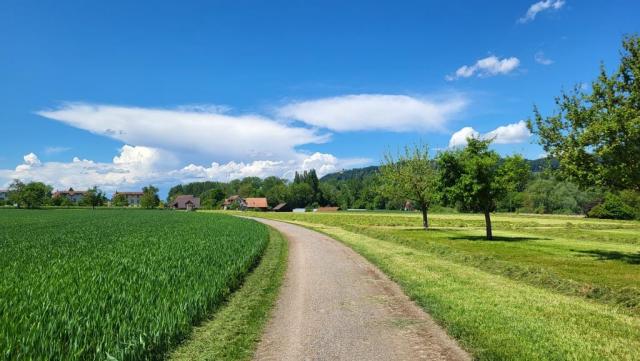 auf dem Weg Richtung Eschenz