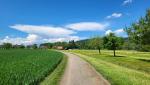 auf dem Weg Richtung Eschenz