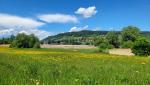 wir lassen Eschenz hinter uns und blicken beim Weiterlaufen hinauf zur Burg Hohenklingen
