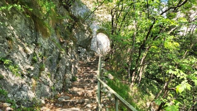 20260522_094635.jpg