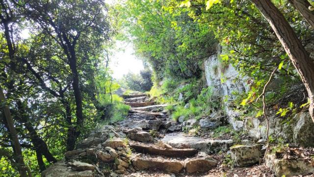 20260522_100933.jpg