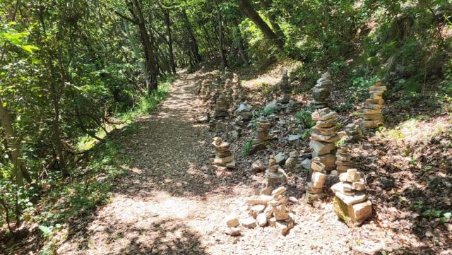 20260522_141744.jpg