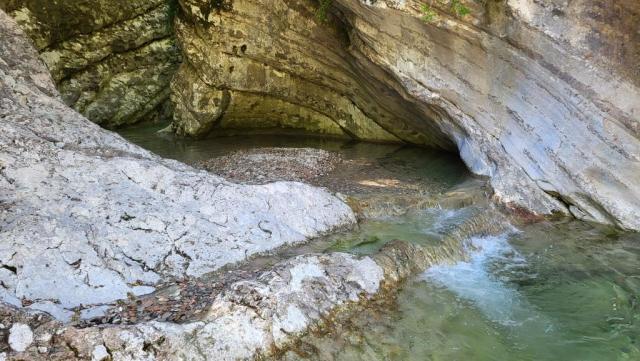 20260522_144354.jpg