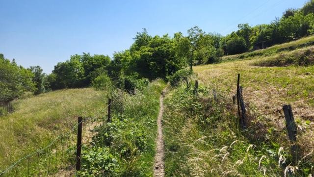 20260522_154726.jpg