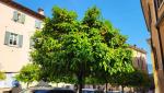 20260522_165336.jpg