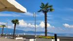 20260518_154909.jpg