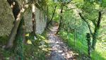 20260523_093832.jpg