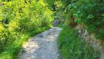 20260523_110153.jpg