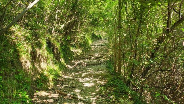 20260523_111744.jpg