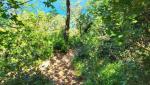 20260521_122758.jpg