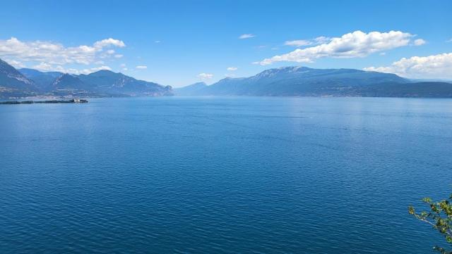 20260521_123741.jpg